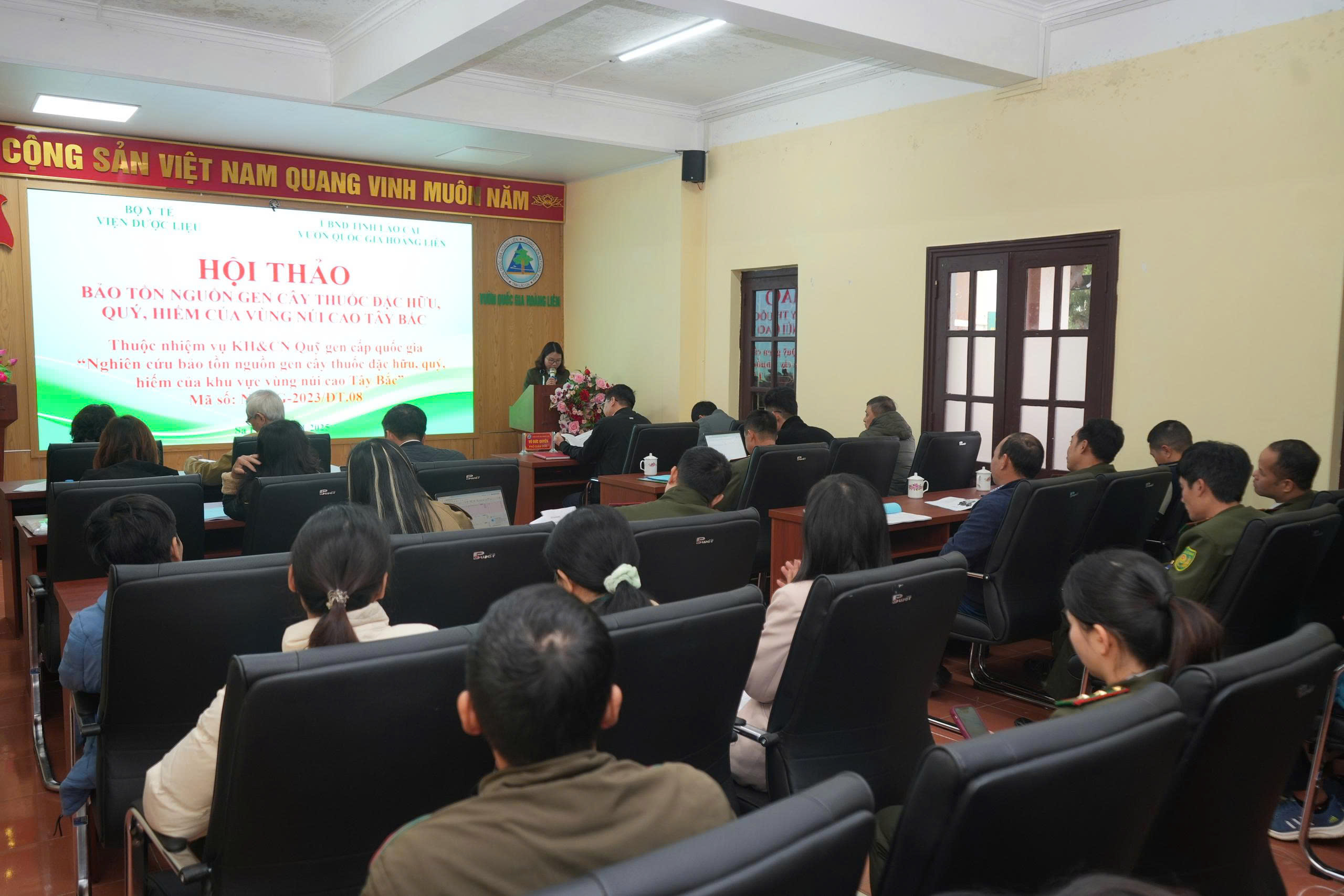 Không có ảnh